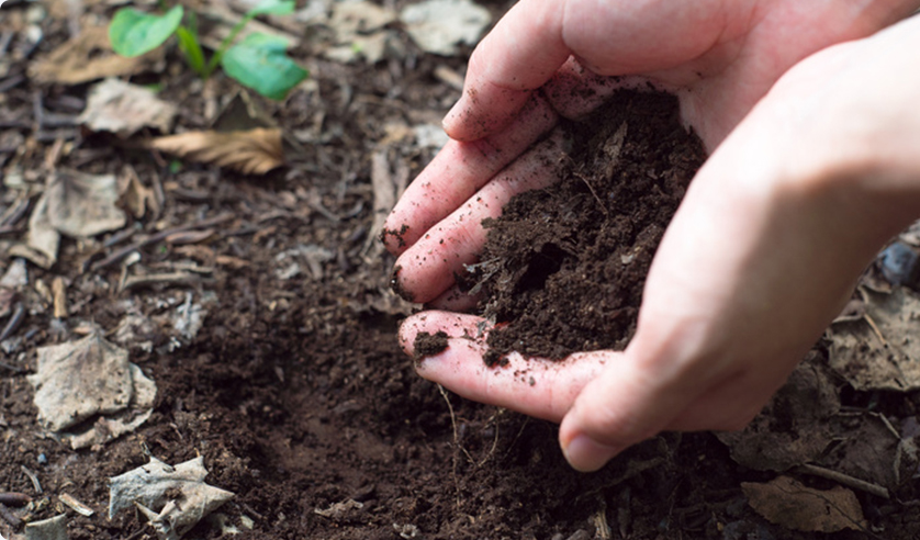 土壌汚染調査（土壌概況調査・土壌詳細調査）